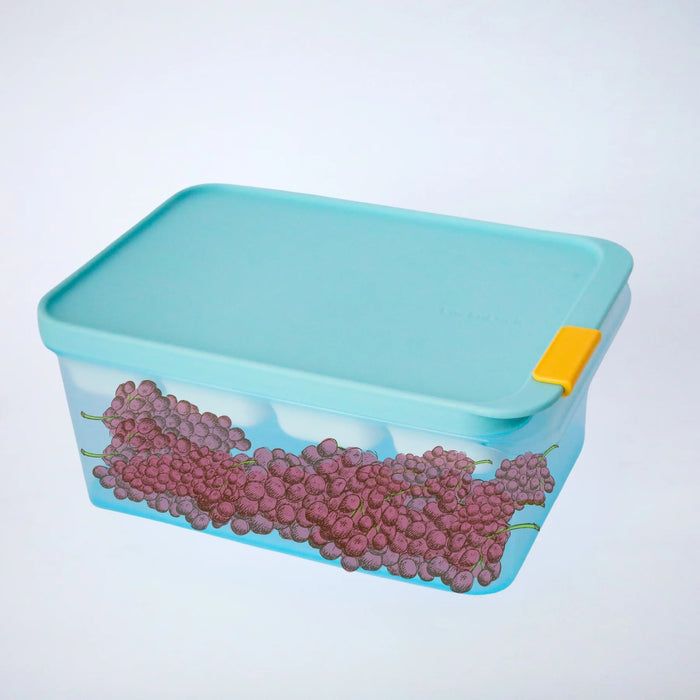 لوك اند لوك  فريزر فيت حافظة 1.65 لتر بلاستيك ازرق  - HFL104